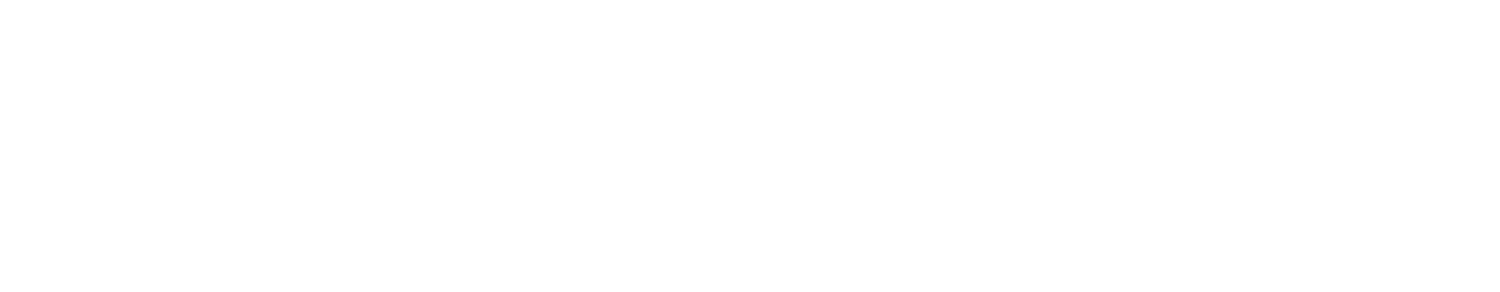 SAIN GROUP SpA